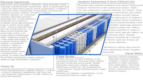 Materac Raja Trawa Lux 100x160 cm Materac Raja Trawa Lux 100x160 cm
