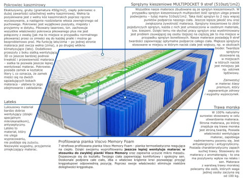 Materac Aisza Trawa Visco Molet Multipocket 150x235 cm